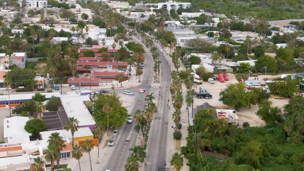 Aerial view of a paved road, low buildings, palms, and green vegetation.