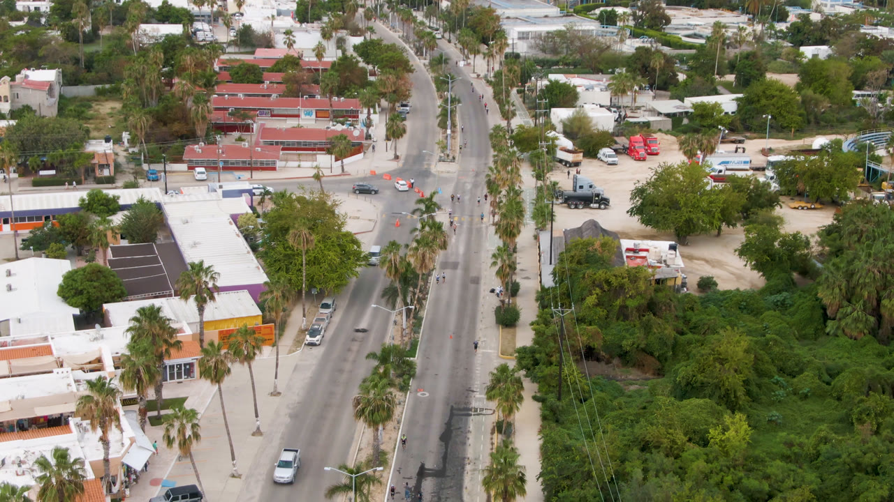 Aerial frame in San Jose del Cabo with cars spaced along the road, palm trees lining the street, low buildings at left, and thick greenery at lower right with no visible people.
