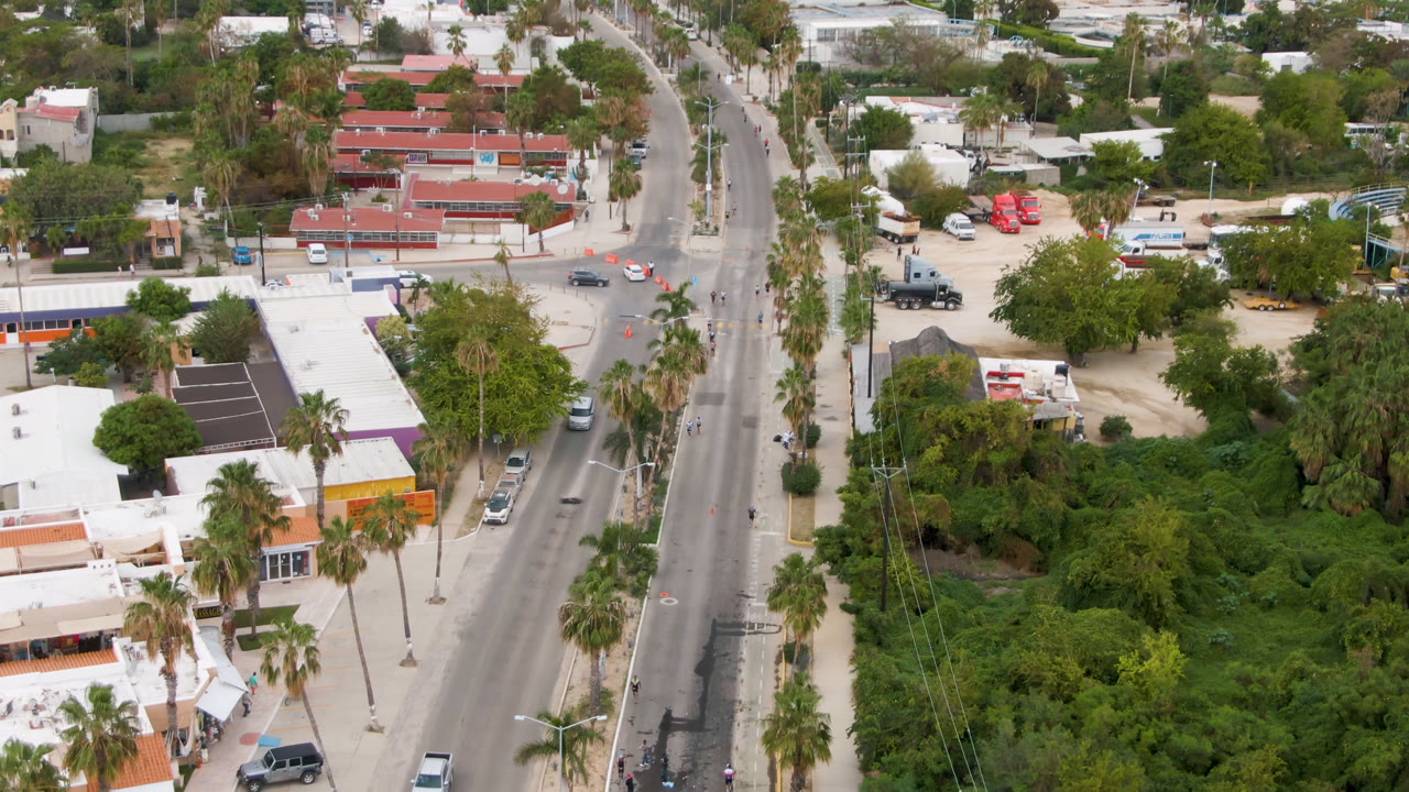 High aerial view of a palm-lined road and green area in a city block.