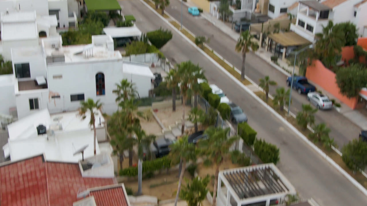 A high aerial frame over San Jose del Cabo shows white residential buildings, palm-lined sidewalks, parked cars along a quiet street, and no visible people.