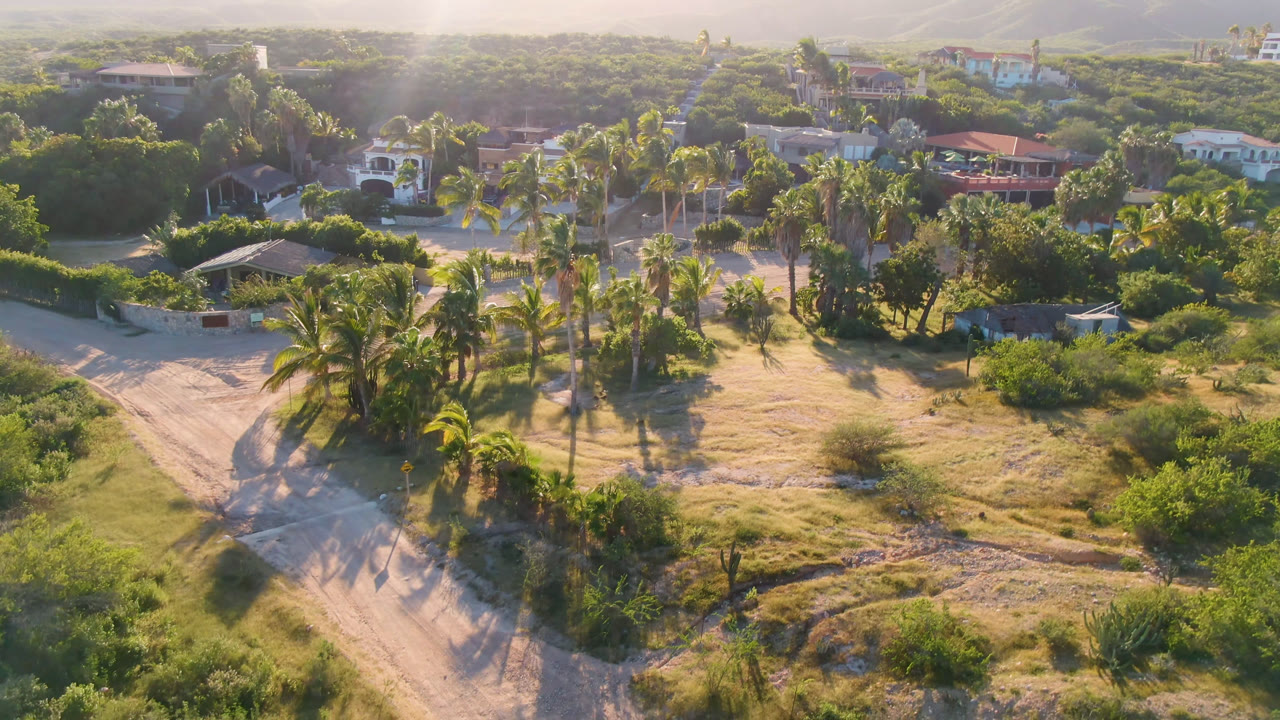 Drone-wide view in Los Frailes with the dirt road more centered, palms casting long shadows across dry grass, houses beyond the trees, and no visible people.