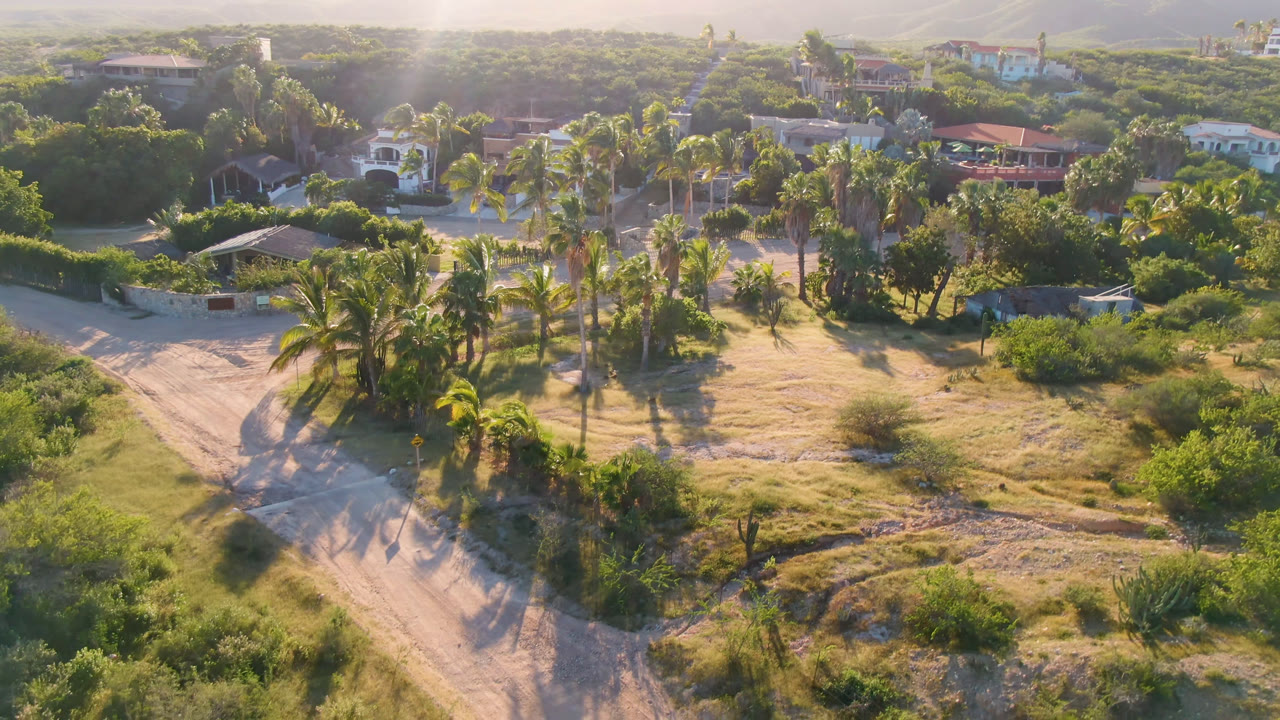 Wide aerial of palms, green shrubs, open grass, dirt road, and homes.