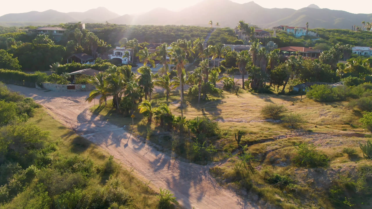Aerial view of a dirt road, palms, houses, scrubland, and mountains