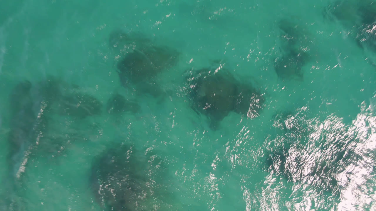 High overhead frame from Shipwrecks Beach in Los Cabos showing green-blue water, broken white highlights, and several darker submerged shapes through the surface, no visible people.