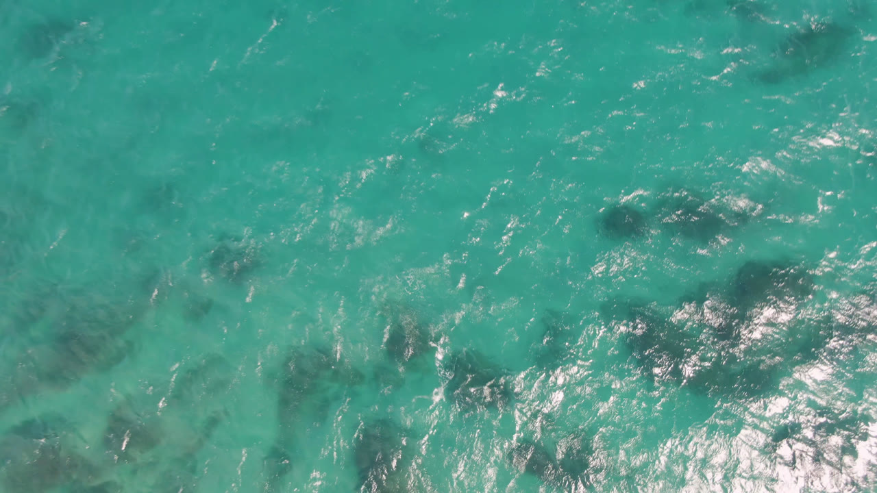 Aerial frame over Shipwrecks Beach water showing scattered dark underwater shapes, a smooth turquoise field, and no visible people.