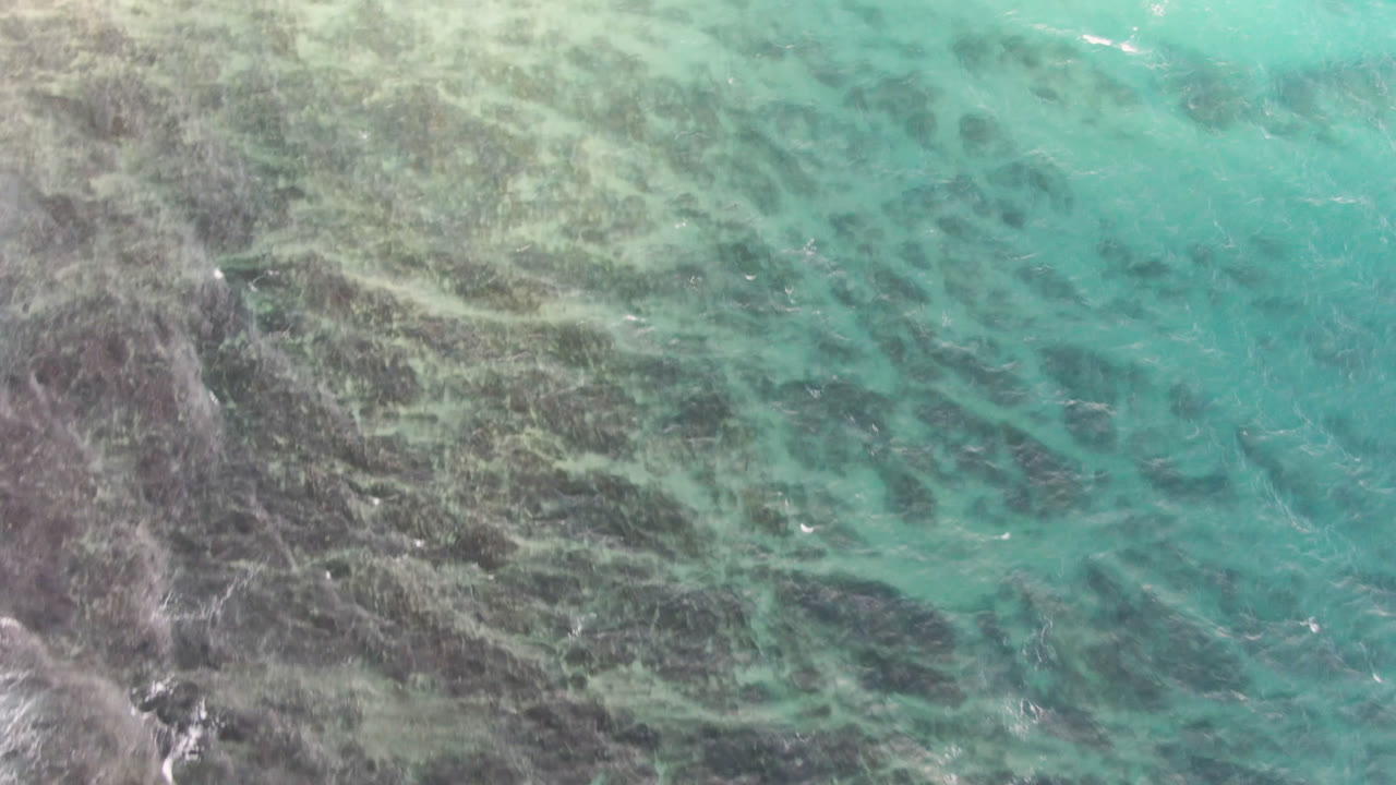 Top-down ocean surface with reef bands and turquoise shallows
