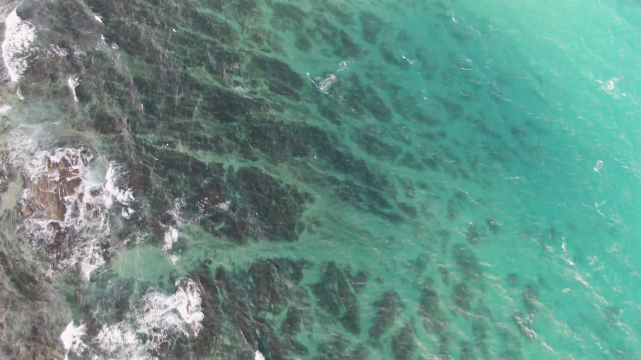 At 0:01, the Shipwrecks Beach Los Cabos aerial view holds foamy shoreline rocks on the left while green water and dark reef streaks fill the center and right, with no visible people.