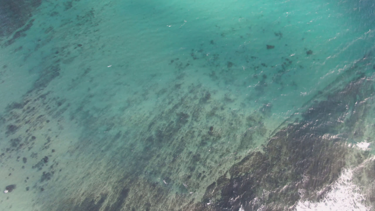 Top-down aerial frame over Shipwrecks Beach in Los Cabos showing turquoise shallow water, a dark reef band entering from the lower center, scattered seabed patches, and no visible people.