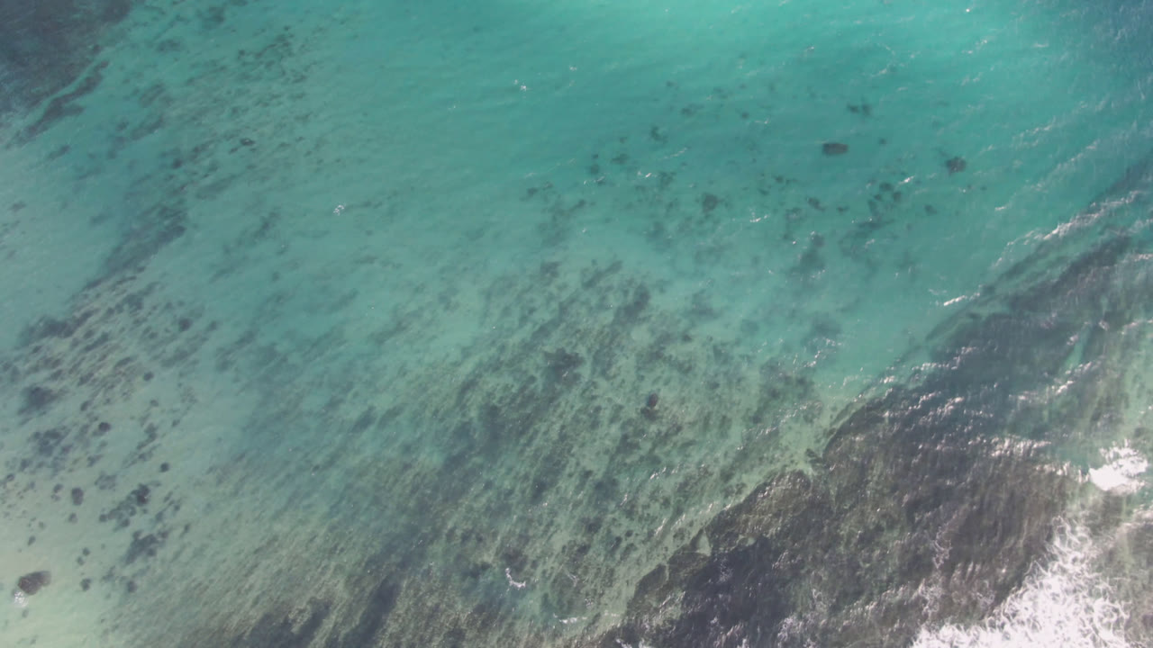 Top-down aerial view at Shipwrecks Beach in Los Cabos with aquamarine water, a larger dark reef shape near the lower middle, thin white foam at its edge, and no visible people.