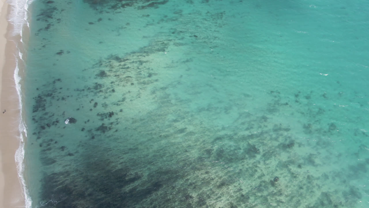 Top-down view of surf and clear water over dark patches.