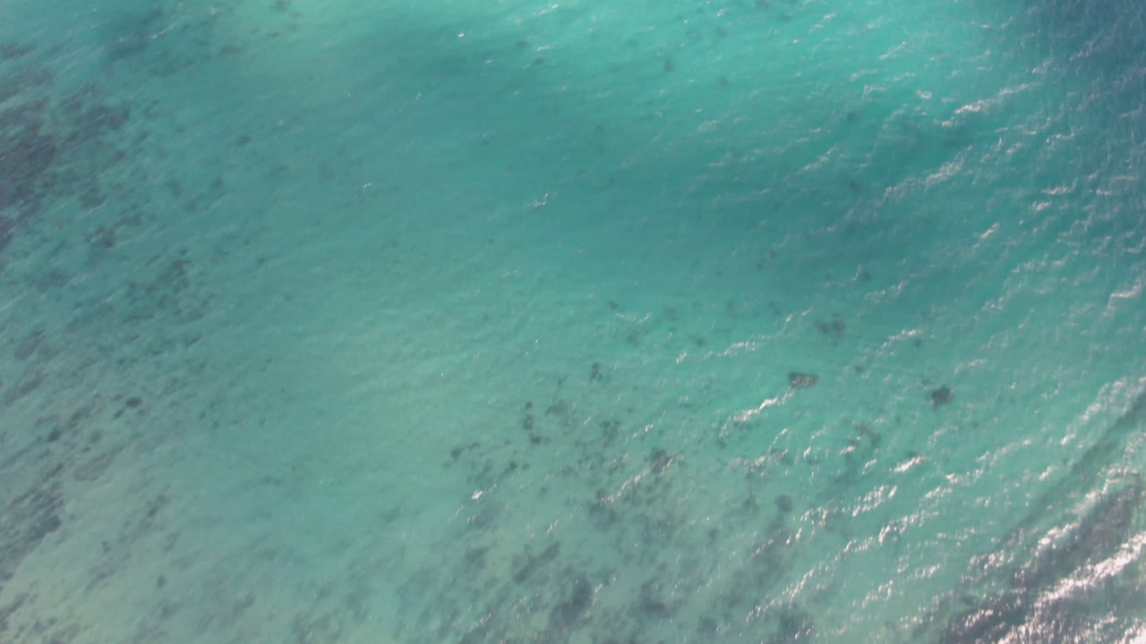 Aerial frame over blue-green water at Shipwrecks Beach in Los Cabos, showing clustered dark patches beneath the surface and no visible people.
