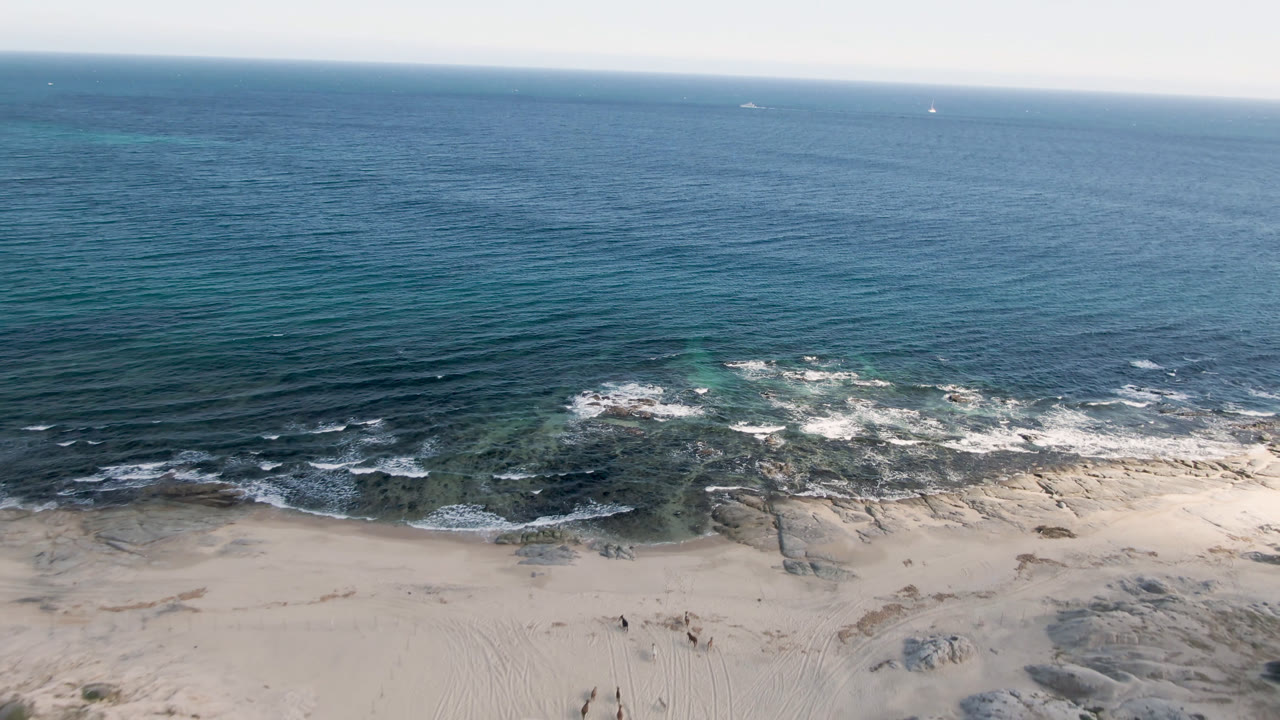 Aerial frame over Shipwrecks Beach in Los Cabos showing blue ocean, a pale sand shoreline, low reef, and dune scrub at the bottom edge.