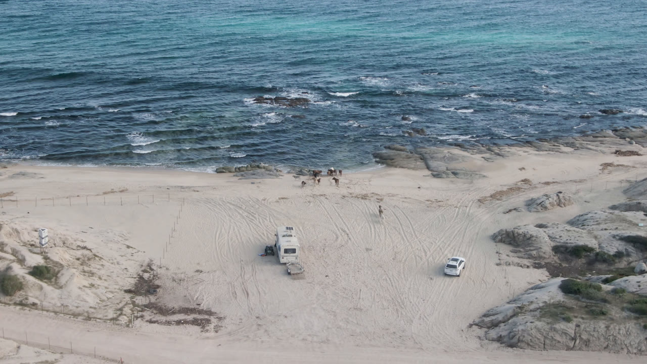 Aerial frame at Shipwrecks Beach in Los Cabos with small waves rolling toward rock shelves, a broad sandy strip, dune vegetation, tire marks, and two visible vehicles with no visible people.