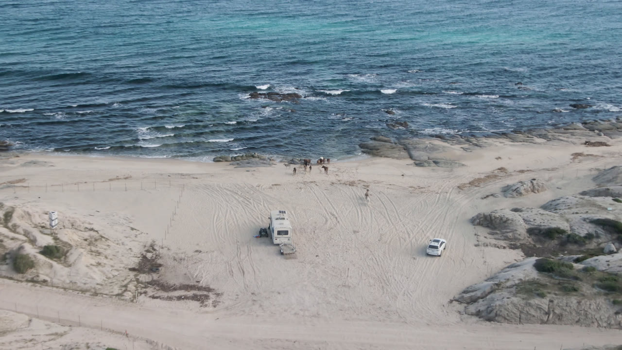 High coastal view of blue water, pale sand, rock patches, dunes, and beach vehicles.