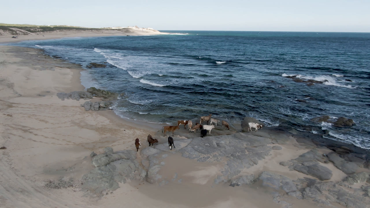 Elevated view of Shipwrecks Beach Los Cabos with pale sand in the foreground, dark blue water beyond the rocks, shoreline wreckage near the surf, and no visible people.