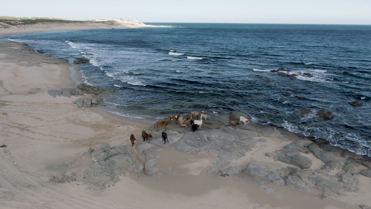 Aerial view across sandy beach, wreckage, rocks, and open ocean.