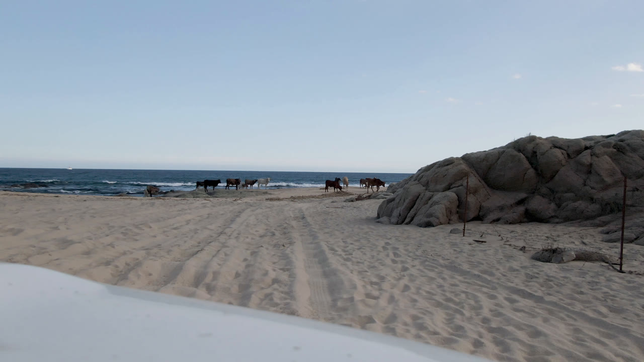 Low beach view with sand tracks, ocean horizon, rocks, and a white foreground edge.