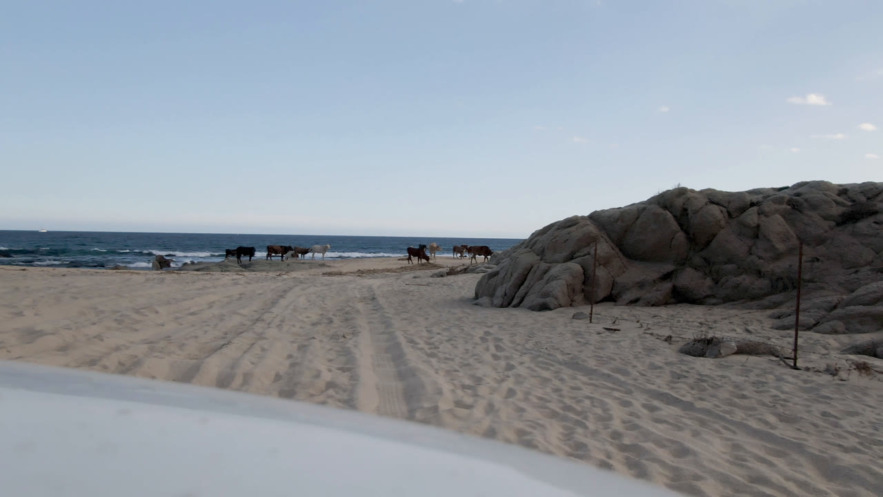 At 0:01, the Shipwrecks Beach view remains low and open, with the white foreground edge across the bottom, sand tracks through the center, rocks to the right, and no visible people.