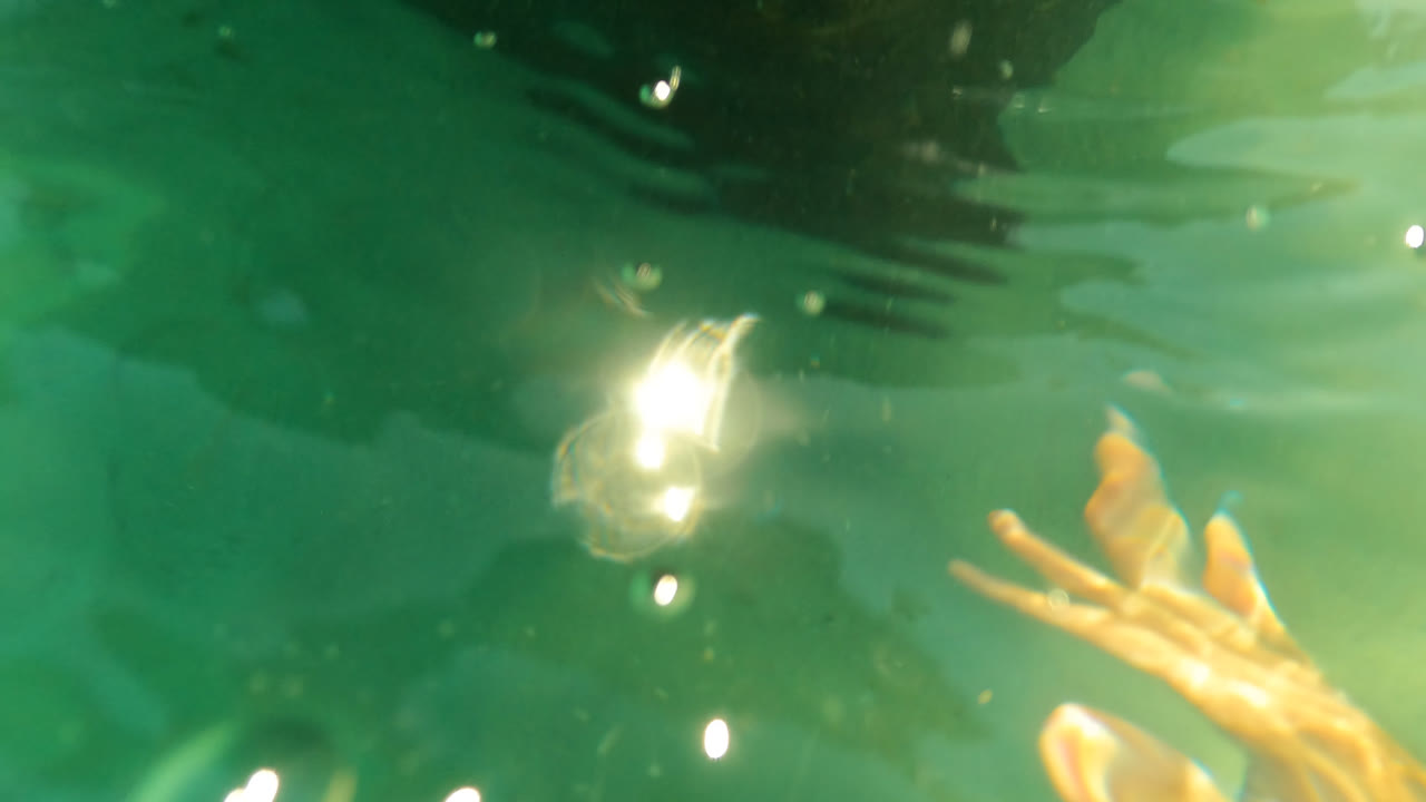 Submerged hands reaching through green ocean water near dark rocks.