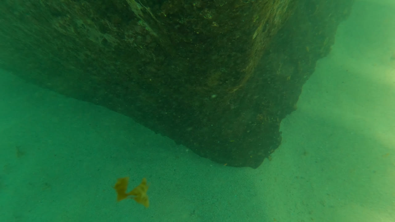 A dark rock fills the upper frame while a small fish-like shape appears in the green water at San Jose Del Cabo, Mexico, with no visible people.