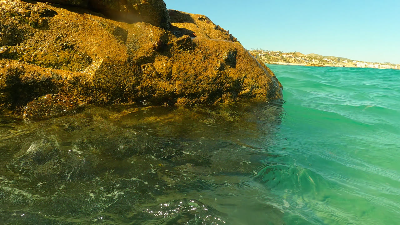 Low water view of sunlit coastal rocks and turquoise ocean.