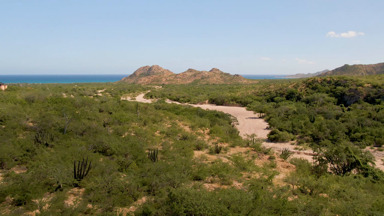 Opening frame of Cabo Pulmo desert scrub with a pale dirt road curving left, rocky hills ahead, blue ocean on the horizon, and no visible people.