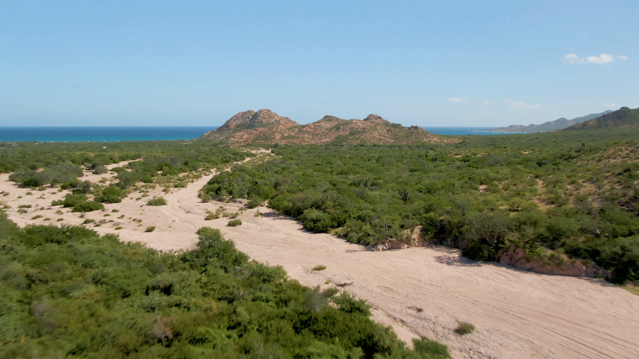 Elevated view in Cabo Pulmo, Baja California Sur, with a sandy road crossing green desert vegetation toward rocky hills and a blue ocean horizon, no visible people.