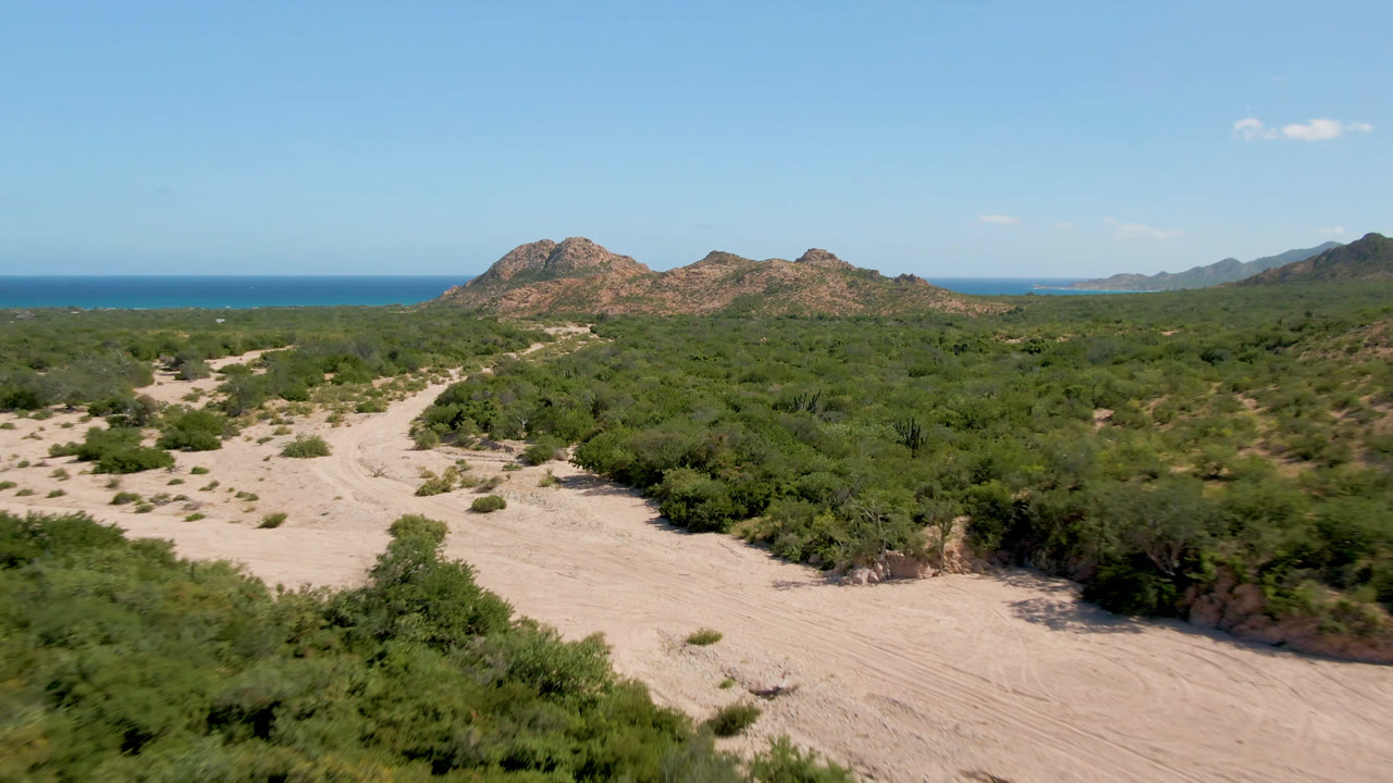 Cabo Pulmo desert road bends through dense green scrub, with rocky hills centered in the background and the ocean visible along the left horizon, no visible people.