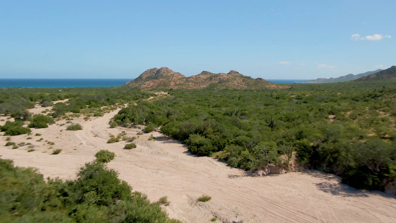 Wide desert track through brush with mountains, ocean, and clear sky