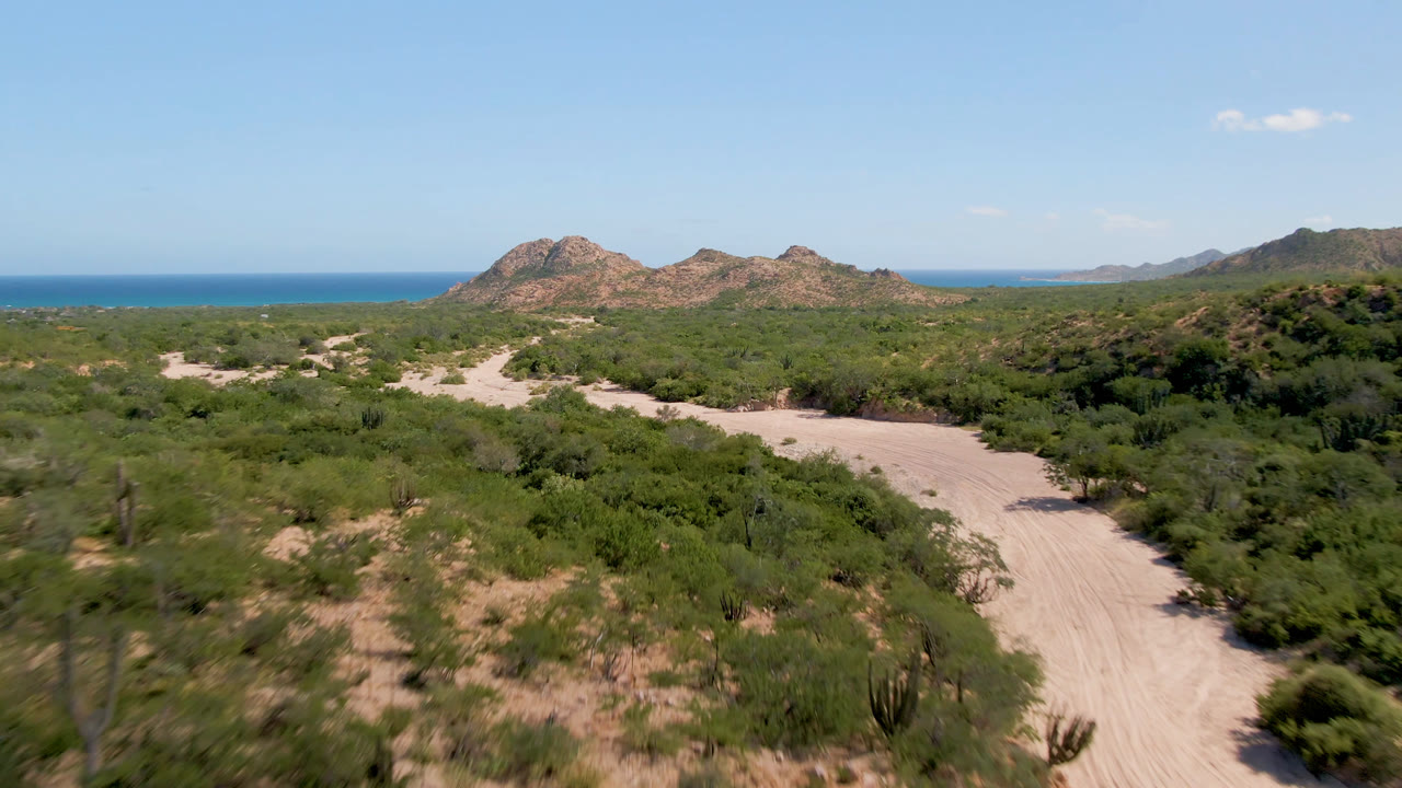 Opening aerial frame in Cabo Pulmo, Baja California Sur, showing a sandy dirt road curving through green scrub toward rocky hills and a blue ocean horizon, with no visible people.