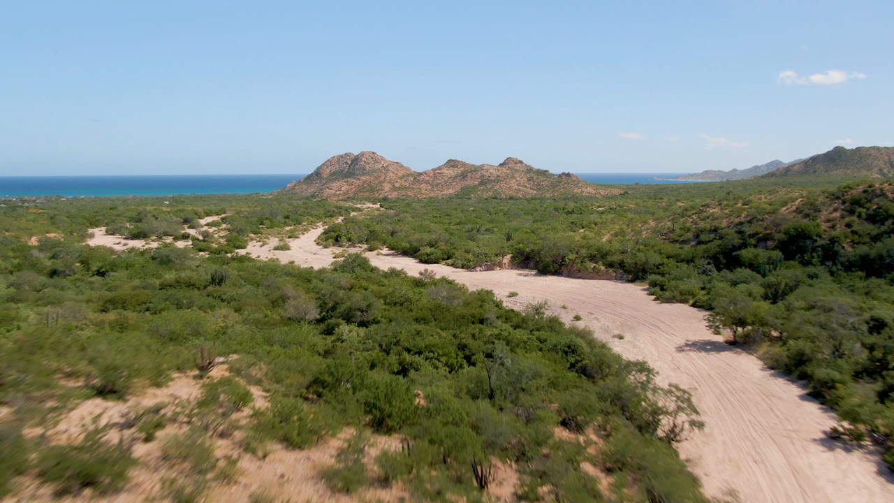 One second into the Cabo Pulmo clip, the pale road stays centered through dense desert vegetation while rocky hills and the ocean line remain clear in the background, with no visible people.