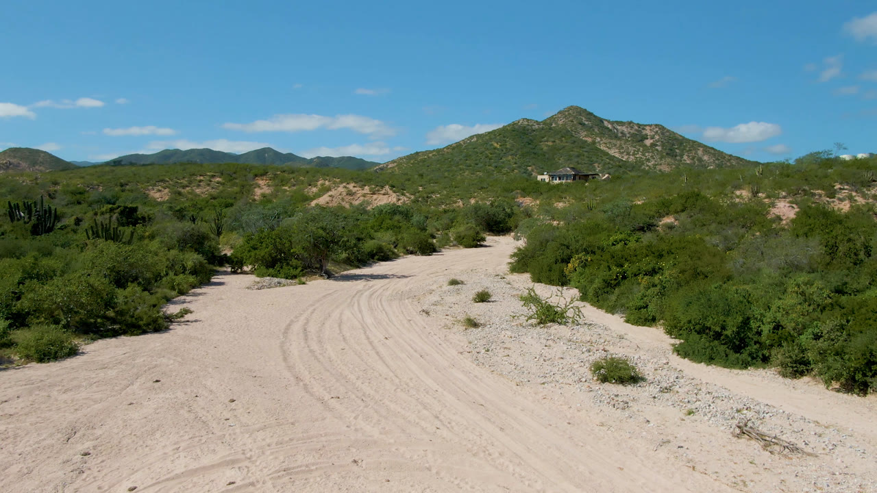 Sandy dirt road through green desert shrubs with hills in the distance.