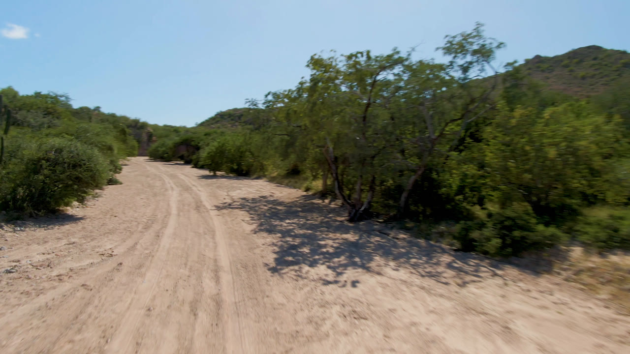 Sandy dirt road in Cabo Pulmo, Baja California Sur, curving past dense green bushes and trees with low hills in the distance and no visible people.