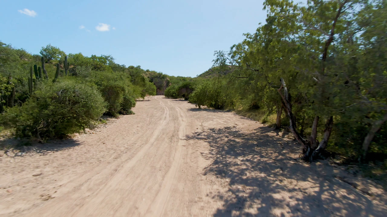 Curving sandy road with green brush, cactus shapes, and hills beyond.