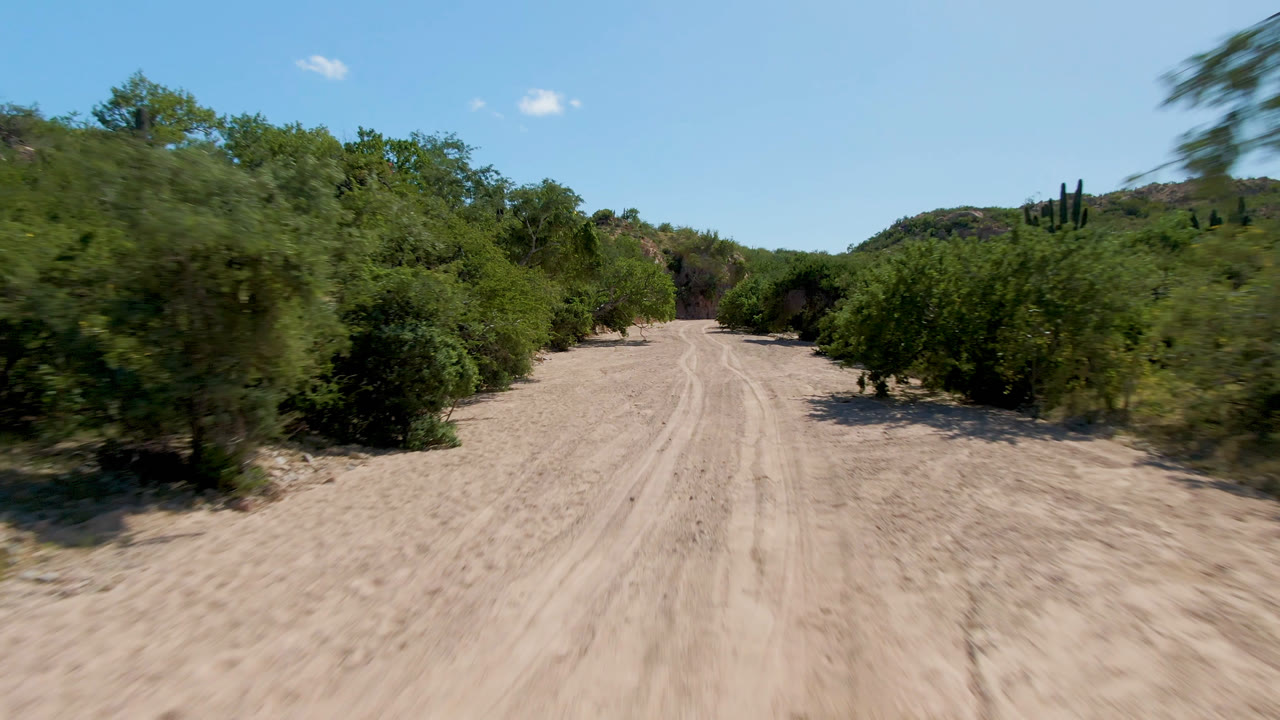 Sandy dirt road bordered by green bushes under blue sky
