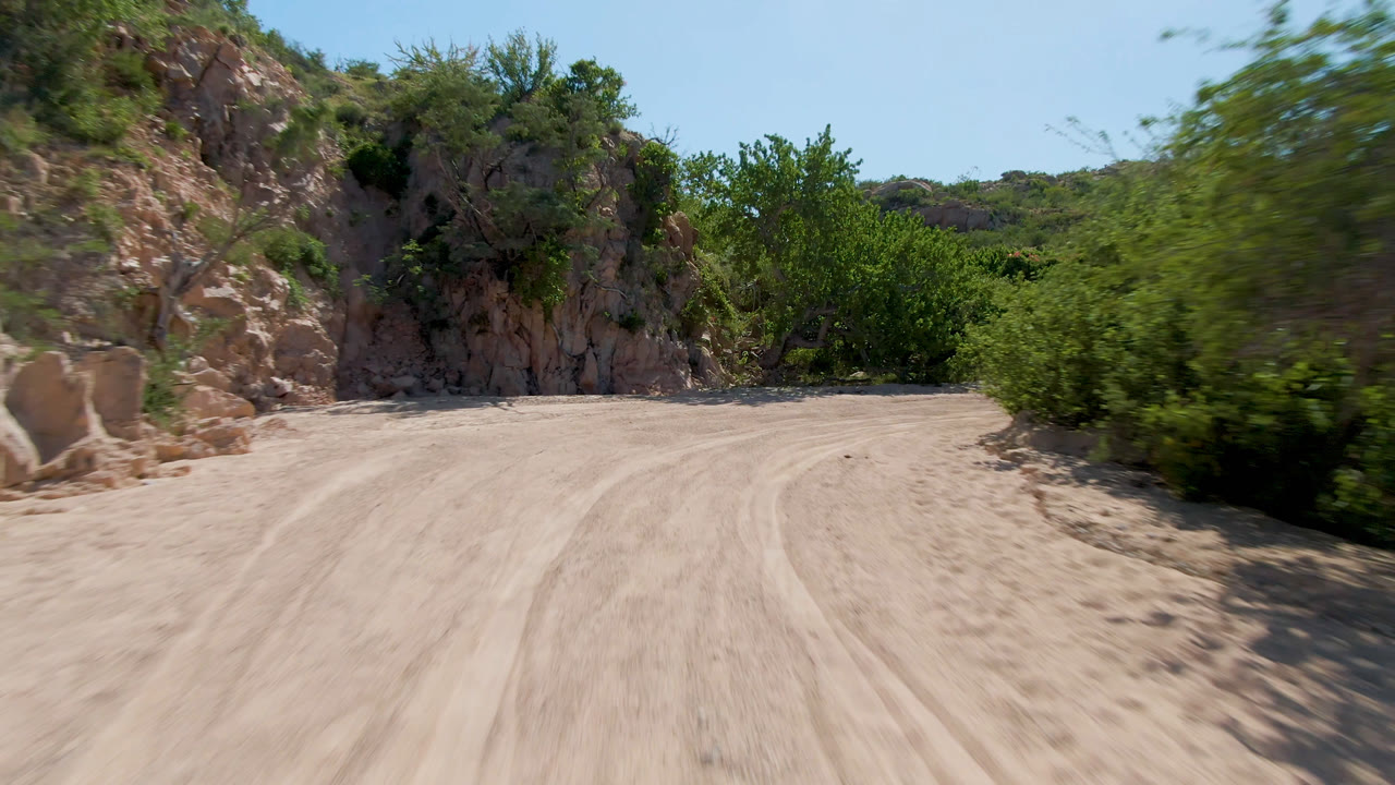 Sandy dirt road in San Jose Del Cabo, Mexico curves beside tan rock formations and green roadside trees, with no visible people.