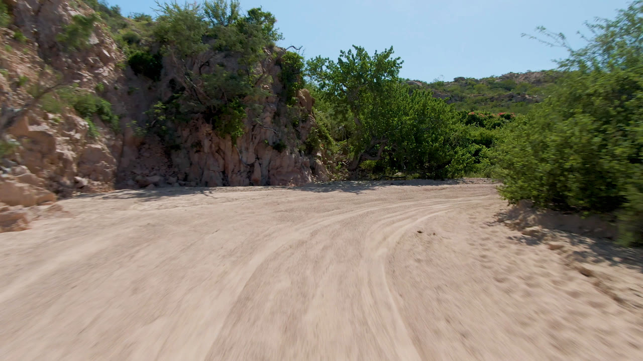 A blurred green bush passes along the sandy road in San Jose Del Cabo, Mexico, with tan rocks and dense vegetation behind it and no visible people.