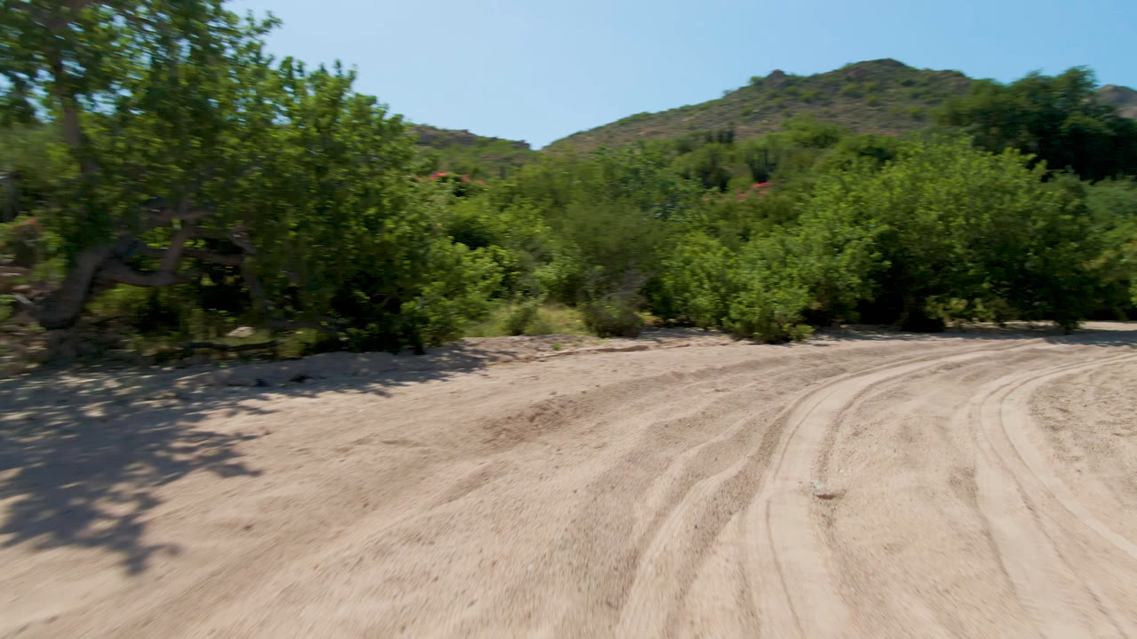 Sandy dirt road curving through green roadside vegetation under blue sky.