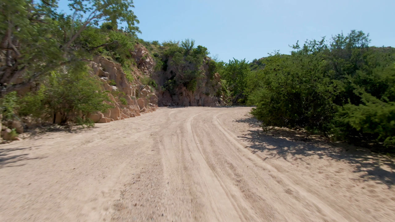 Curving dirt road bordered by green shrubs and rocky desert slopes.