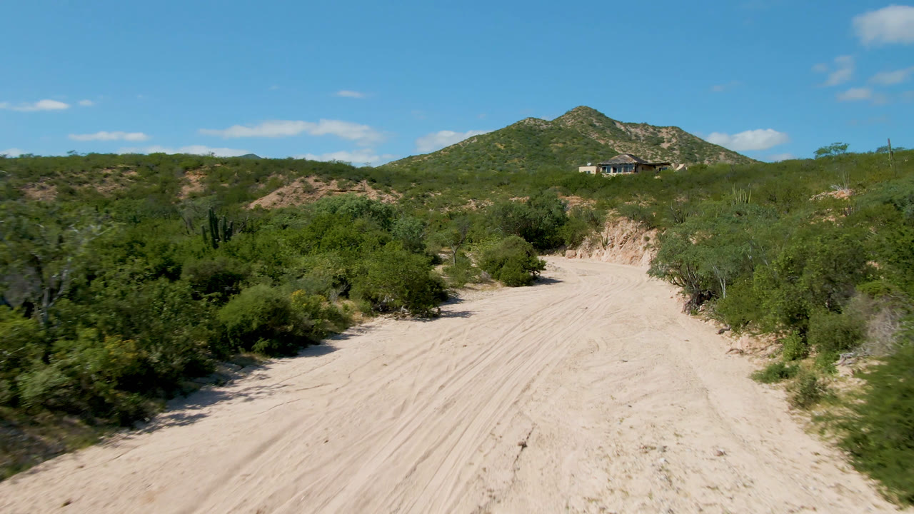 Sandy dirt road through green desert brush with a hill in the distance.