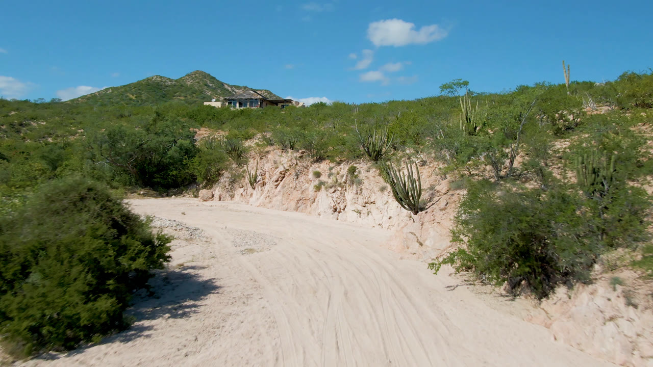 Cabo Pulmo dirt road curves past desert scrub and cactus toward low green hills, with a small house visible on the ridge and no visible people.
