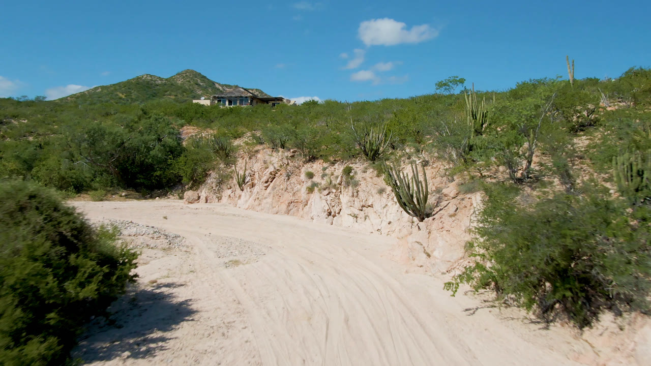 A sandy road in Cabo Pulmo runs along an eroded desert bank with cactus and shrubs, while hills and a distant house sit under blue sky with no visible people.