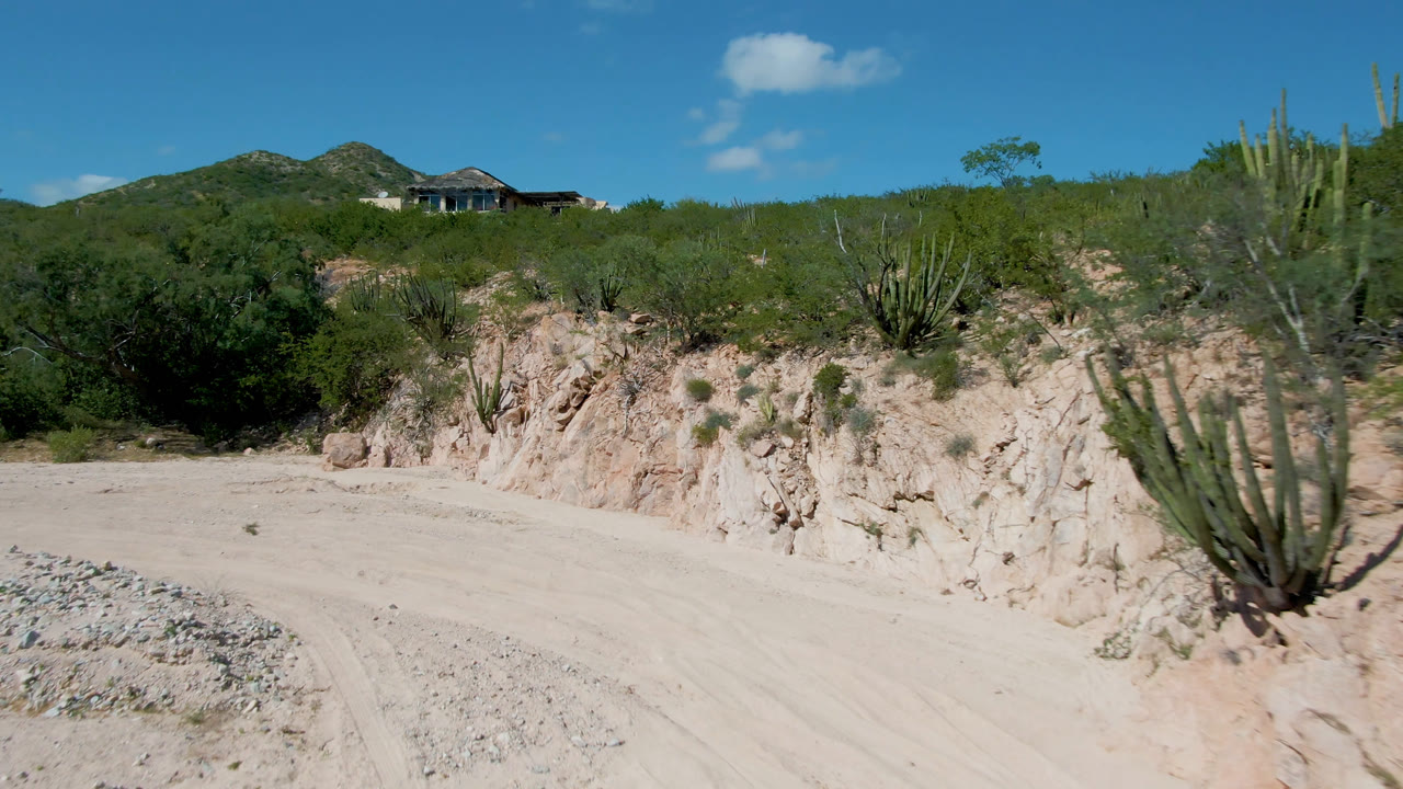 Wide Cabo Pulmo, Baja California Sur frame with a pale dirt road, sandy roadside bank, tall cactus, scrub vegetation, low hills, a distant house, blue sky, and no visible people.