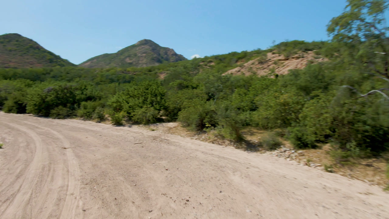 A curving dirt road in Cabo Pulmo, Baja California Sur runs past green desert shrubs toward low mountains under a clear blue sky, with no visible people.