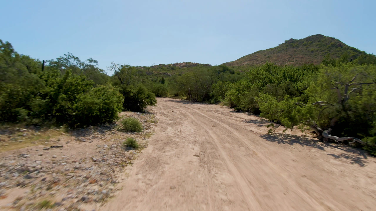 The Cabo Pulmo road sits slightly left of center, bordered by thick green brush, scattered stones, and a low hill under clear daylight with no visible people.