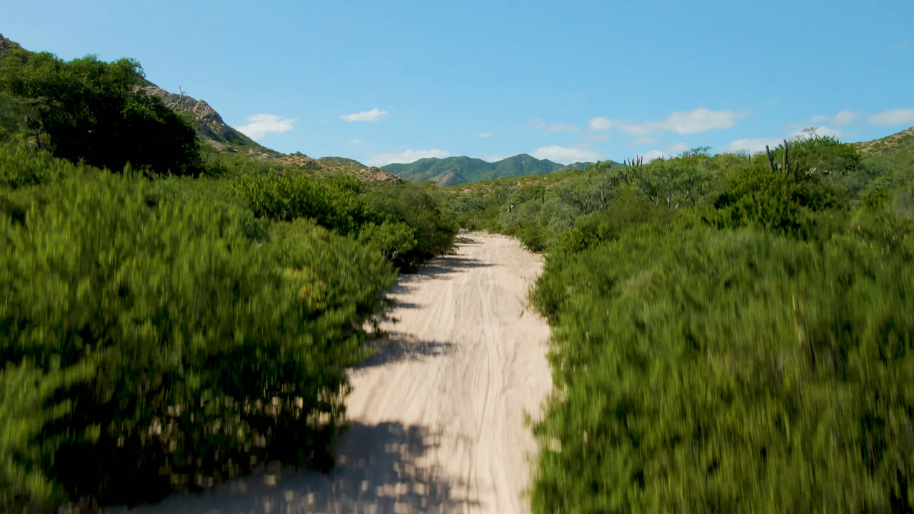 Aerial view over bushes beside a pale desert road