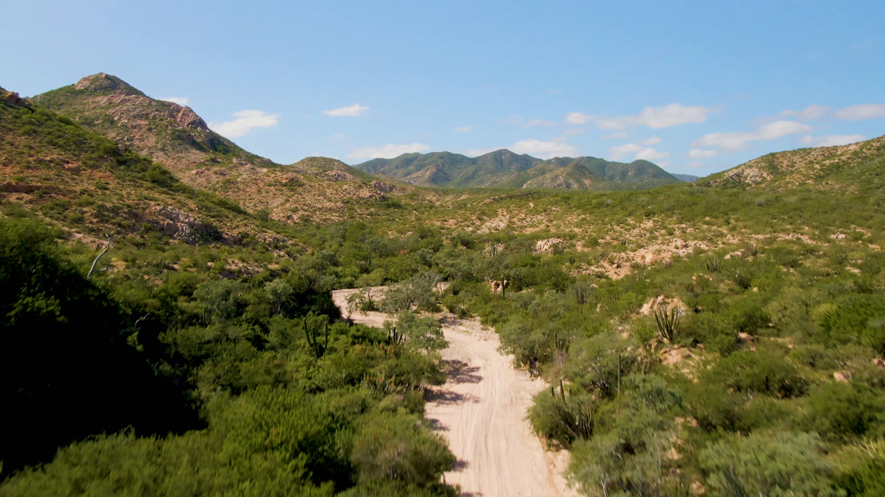 Dirt road curving through green desert scrub toward rocky hills.