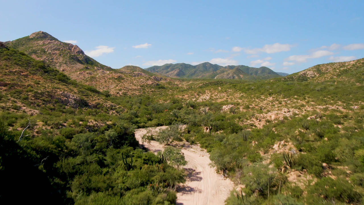 Cabo Pulmo landscape frame with the dirt road bending through the lower foreground, dense green desert brush in the midground, a rounded rocky hill near center, distant ridges, and no visible people.