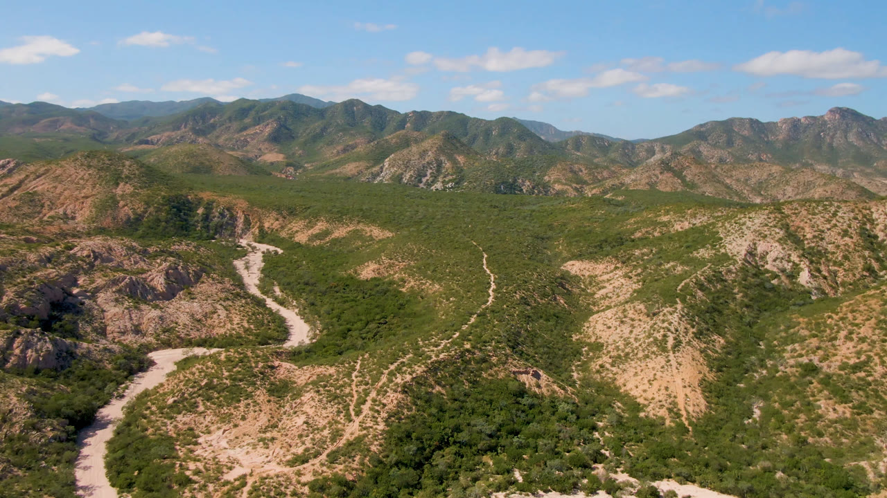 Aerial view in Cabo Pulmo with the pale road curving along rocky foreground hills and dense green vegetation spread toward distant mountains, with no visible people.
