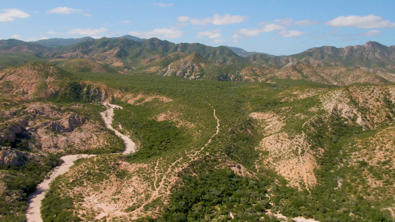 Wide aerial desert landscape with branching pale tracks and mountain ridges beyond.